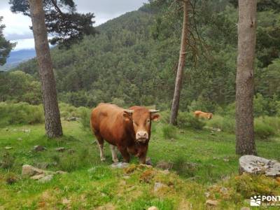 Peña Quemada-Ladera de Santuil; campo girasoles senderismo toledo paseos por la rioja meandro de rio